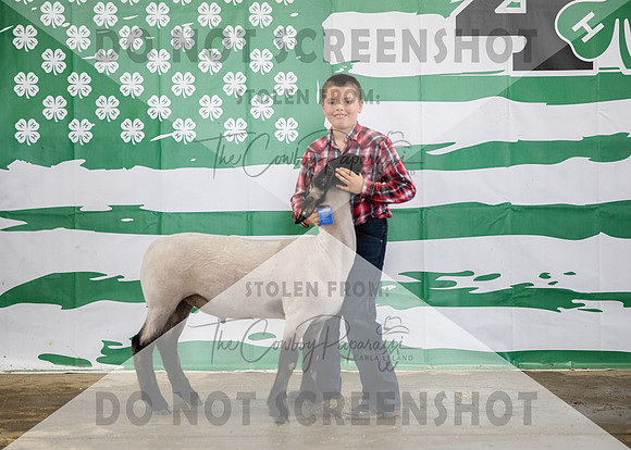 4Aug2021 RCF&R 4H Sheep Show-3729