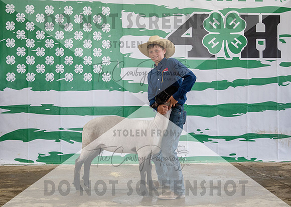 4Aug2021 RCF&R 4H Sheep Show-3736
