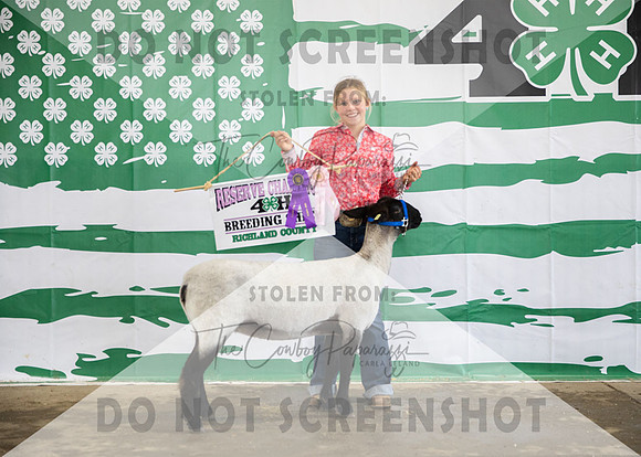 4Aug2021 RCF&R 4H Sheep Show-3771