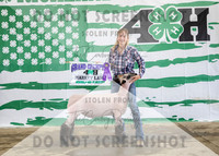 4Aug2021 RCF&R 4H Sheep Show-3776