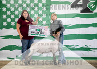 4Aug2021 RCF&R 4H Sheep Show-3795