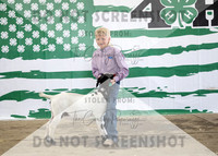 4Aug2021 RCF&R 4H Goat Show-3803
