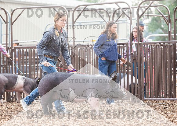 5Aug2021 RCF&R Swine Show-4229