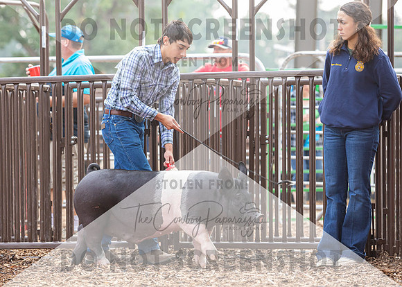 5Aug2021 RCF&R Swine Show-4241
