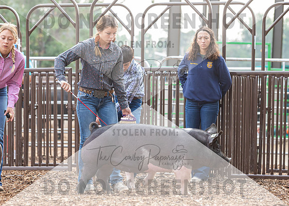 5Aug2021 RCF&R Swine Show-4243