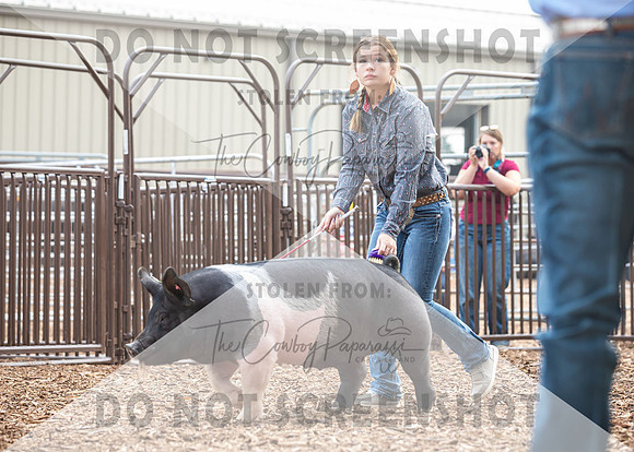 5Aug2021 RCF&R Swine Show-4245