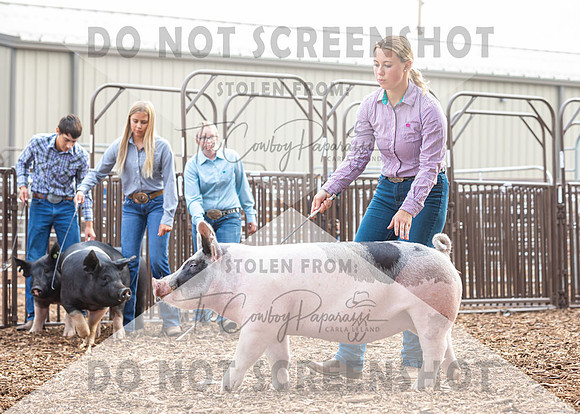 5Aug2021 RCF&R Swine Show-4263