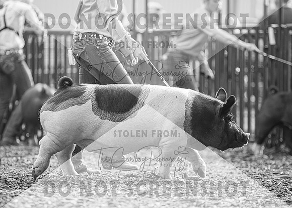 5Aug2021 RCF&R Swine Show-4276