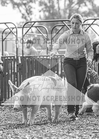 5Aug2021 RCF&R Swine Show-4279