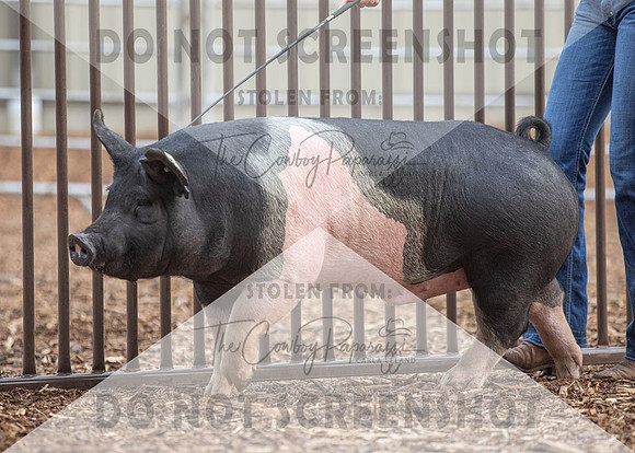 5Aug2021 RCF&R Swine Show-4290