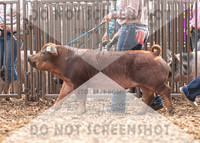 5Aug2021 RCF&R Swine Show-4697