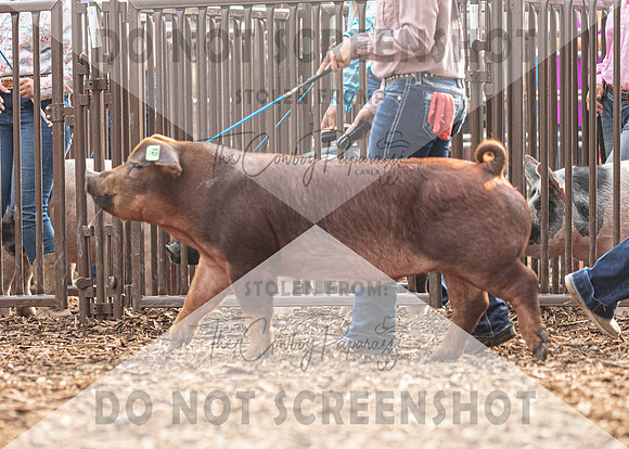5Aug2021 RCF&R Swine Show-4697