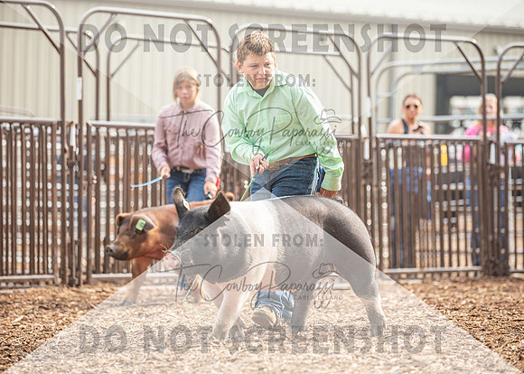 5Aug2021 RCF&R Swine Show-4707