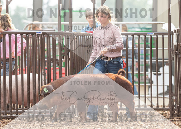 5Aug2021 RCF&R Swine Show-4694