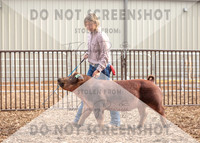 5Aug2021 RCF&R Swine Show-4718