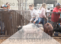 5Aug2021 RCF&R Swine Show-4732