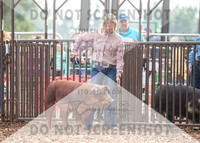 5Aug2021 RCF&R Swine Show-4734