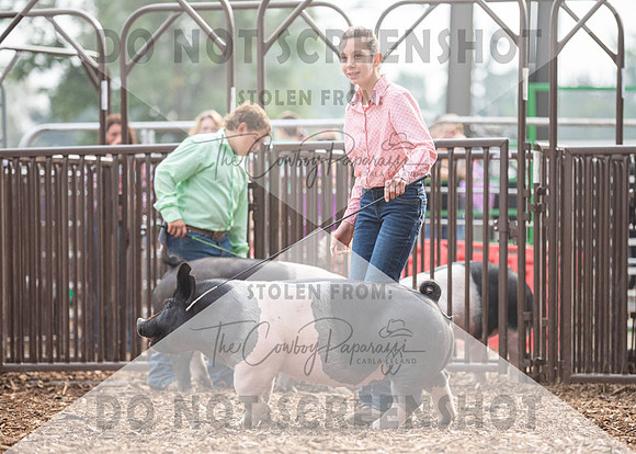 5Aug2021 RCF&R Swine Show-4740