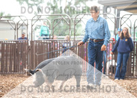 5Aug2021 RCF&R Swine Show-4750