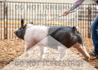 5Aug2021 RCF&R Swine Show-4778