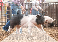5Aug2021 RCF&R Swine Show-4771