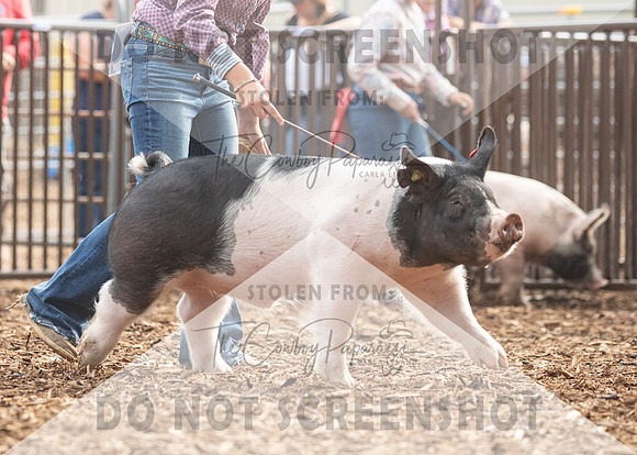 5Aug2021 RCF&R Swine Show-4771