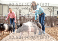 5Aug2021 RCF&R Swine Show-4779