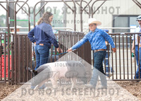 Novice Showmanship