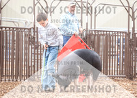 5Aug2021 RCF&R Swine Show-5145