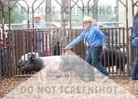 5Aug2021 RCF&R Swine Show-5137