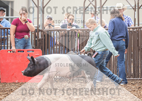5Aug2021 RCF&R Swine Show-5169