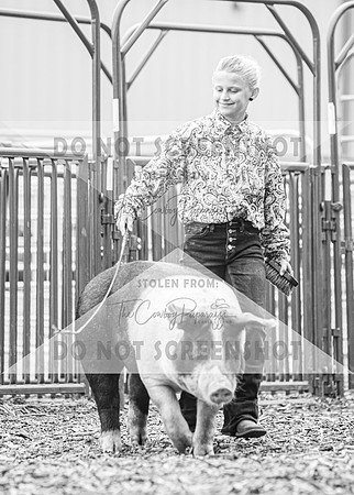 5Aug2021 RCF&R Swine Show-5178
