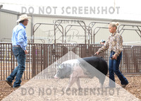 5Aug2021 RCF&R Swine Show-5183