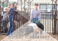 5Aug2021 RCF&R Swine Show-5186