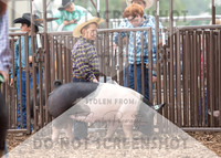 5Aug2021 RCF&R Swine Show-5190