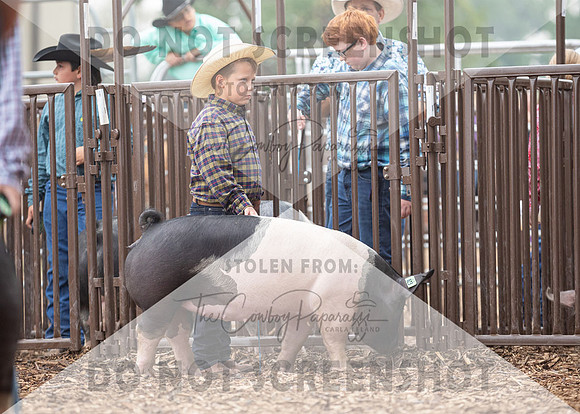 5Aug2021 RCF&R Swine Show-5190