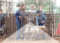5Aug2021 RCF&R Swine Show-5196