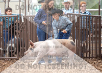 5Aug2021 RCF&R Swine Show-5198