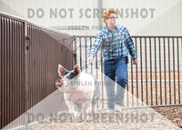 5Aug2021 RCF&R Swine Show-5208