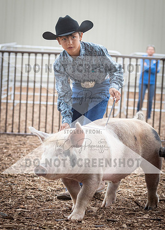 5Aug2021 RCF&R Swine Show-5216