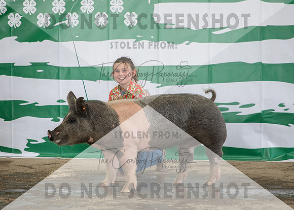4Aug2021 RCF&R 4H Swine Show-3117