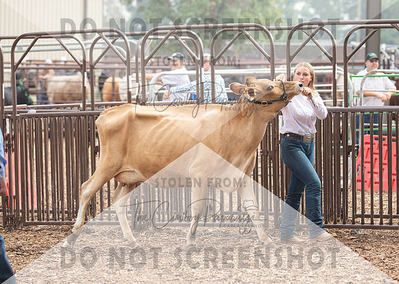 5Aug2021 RCF&R Dairy Show-5915