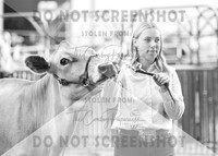 5Aug2021 RCF&R Dairy Show-5928