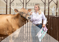 5Aug2021 RCF&R Dairy Show-5965