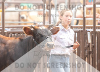 5Aug2021 RCF&R Dairy Show-5970