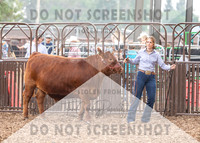 5Aug2021 RCF&R Beef Show-6004