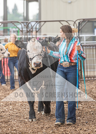 5Aug2021 RCF&R Beef Show-6011