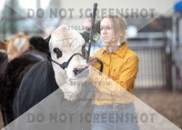 5Aug2021 RCF&R Beef Show-6014