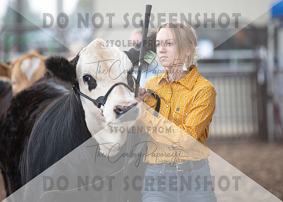 5Aug2021 RCF&R Beef Show-6014