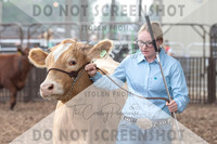 5Aug2021 RCF&R Beef Show-6015